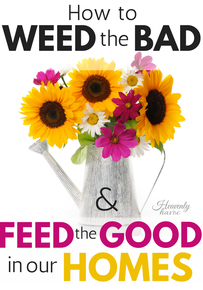 When the bad habits are getting out of control, it's time for the Weed and Feed!