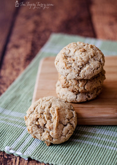 Oatmeal Chocolate Chip Cookies + 20 other favorite cookie recipes