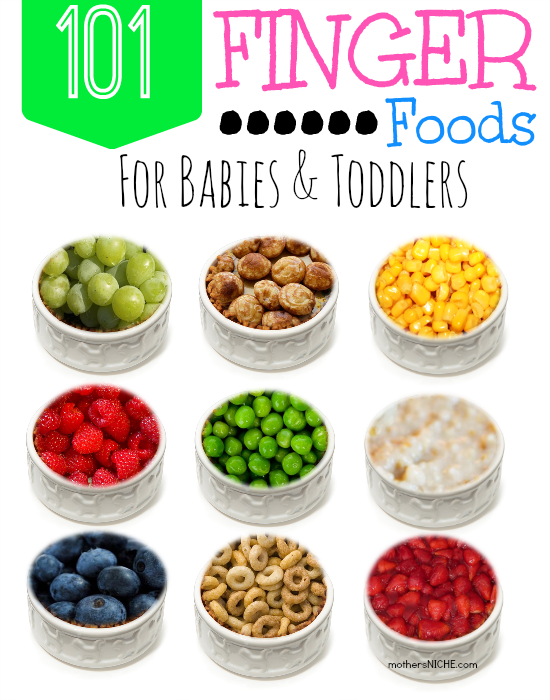 101 Finger Foods by Mothers Niche