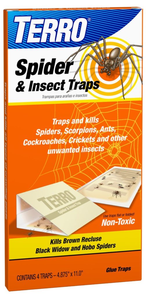 spider and insect traps