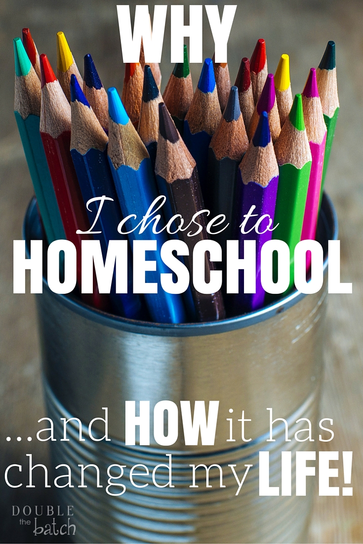Why homeschool? I never dreamed I would end up homeschooling my children, and I never knew how much it would change my life!