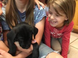 Just when I thought I knew a thing or two about parenting-I read this! Parenting principles from a new puppy? Who knew!