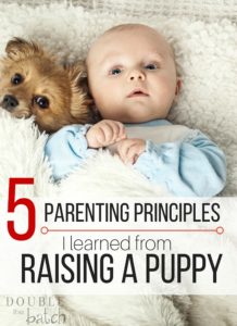 Just when I thought I knew a thing or two about parenting-I read this! Parenting principles from a new puppy? Who knew!