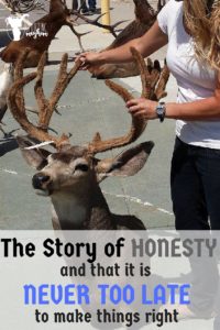 The Story of HONESTY