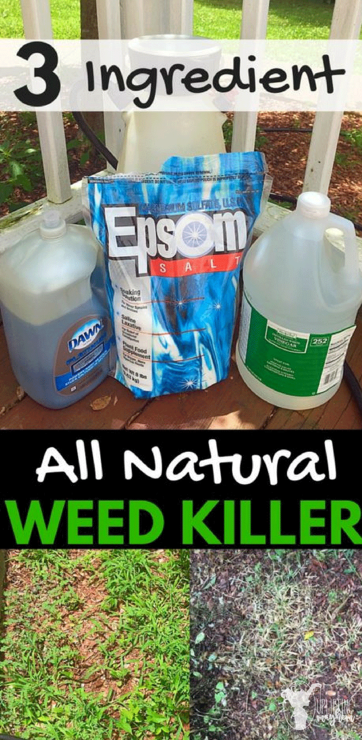 Stop the weeds from growing and kill them from overtaking your yard with this natural weed killer! Only 3 ingredients