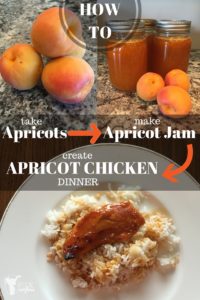 Apricot to Apricot Jam