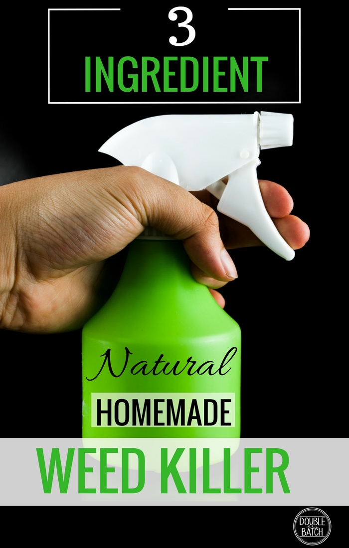 Awesome Homemade weed killer that is super cheap and easy to make!