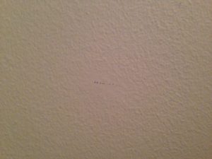 After testing all the different options for getting Sharpie off your walls, I'm ready to share what I think is the best technique to use.