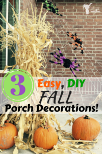 ADORABLE and EASY Fall Porch Decorations!