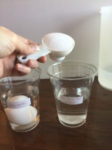 Egg float science experiment 