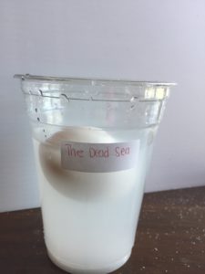 Egg float Science Experiment 