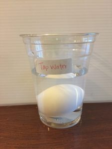 Egg float Science Experiment 
