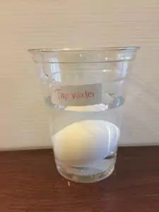 Egg float Science Experiment 