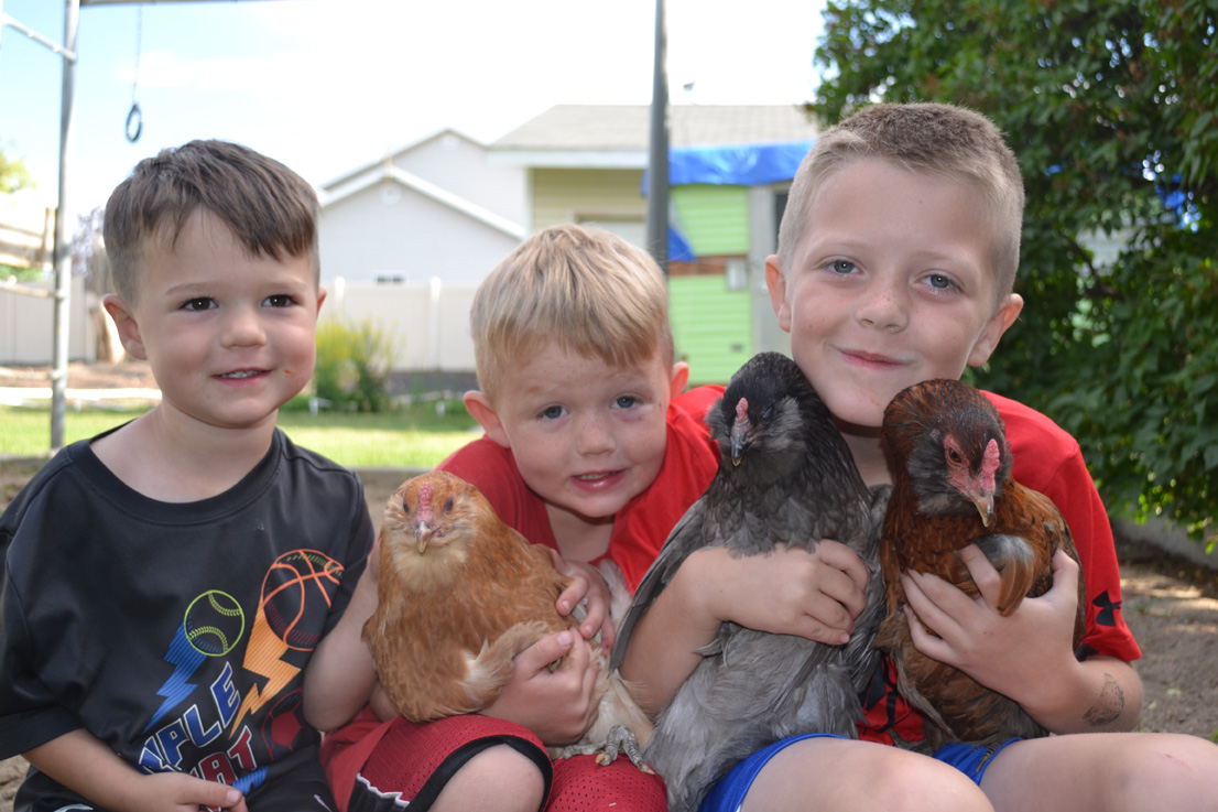 EGG-TASTIC Back yard chickens for Beginners