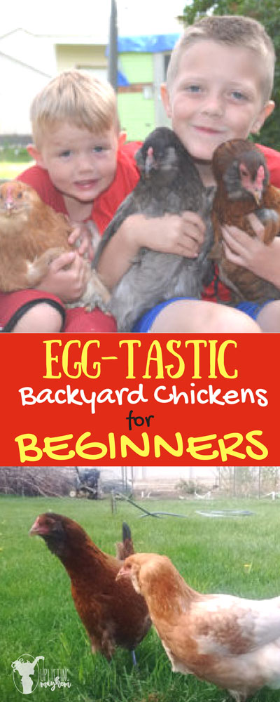 EGG-TASTIC Back yard chickens for Beginners