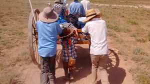 Handcart, pushing, youth