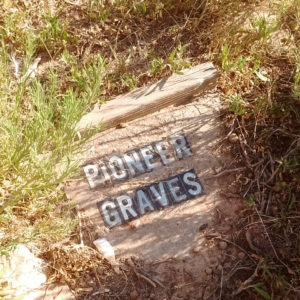 Pioneer grave