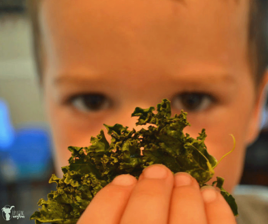 Kale Chips made Easy and Delicious