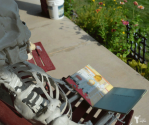 "Elf on the Shelf" Skeleton