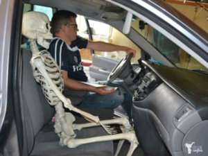 Halloween Skeleton "Elf on the Shelf" Skeleton