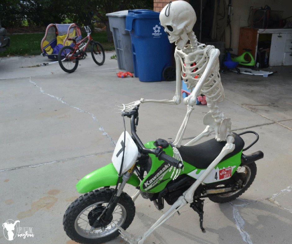 "Elf on the Shelf" Skeleton 