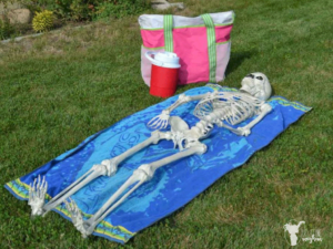 Halloween Skeleton "Elf on the Shelf" Skeleton
