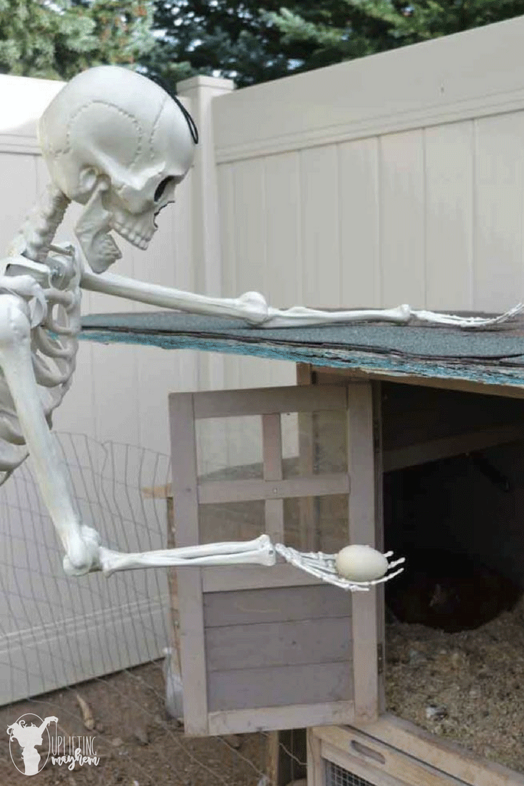 "Elf on the Shelf" Skeleton 