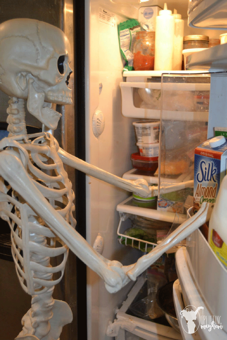 "Elf on the Shelf" Skeleton 