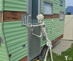 "Elf on the Shelf" Skeleton