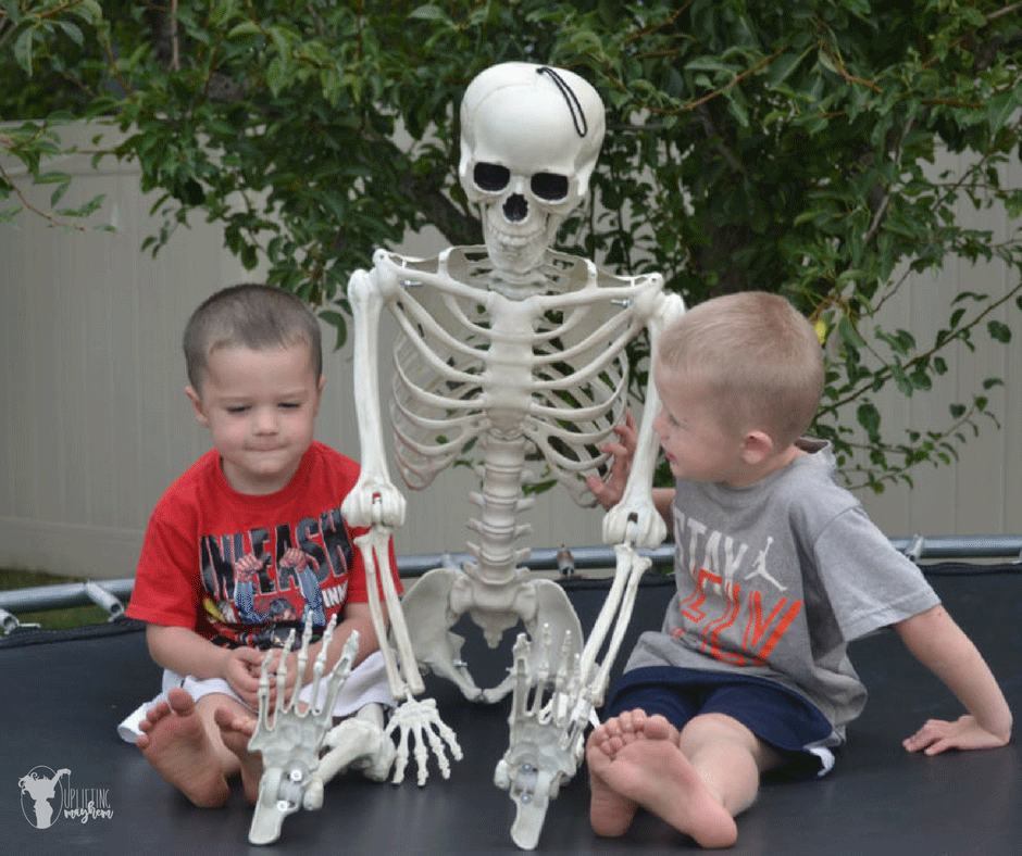 "Elf on the Shelf" Skeleton 