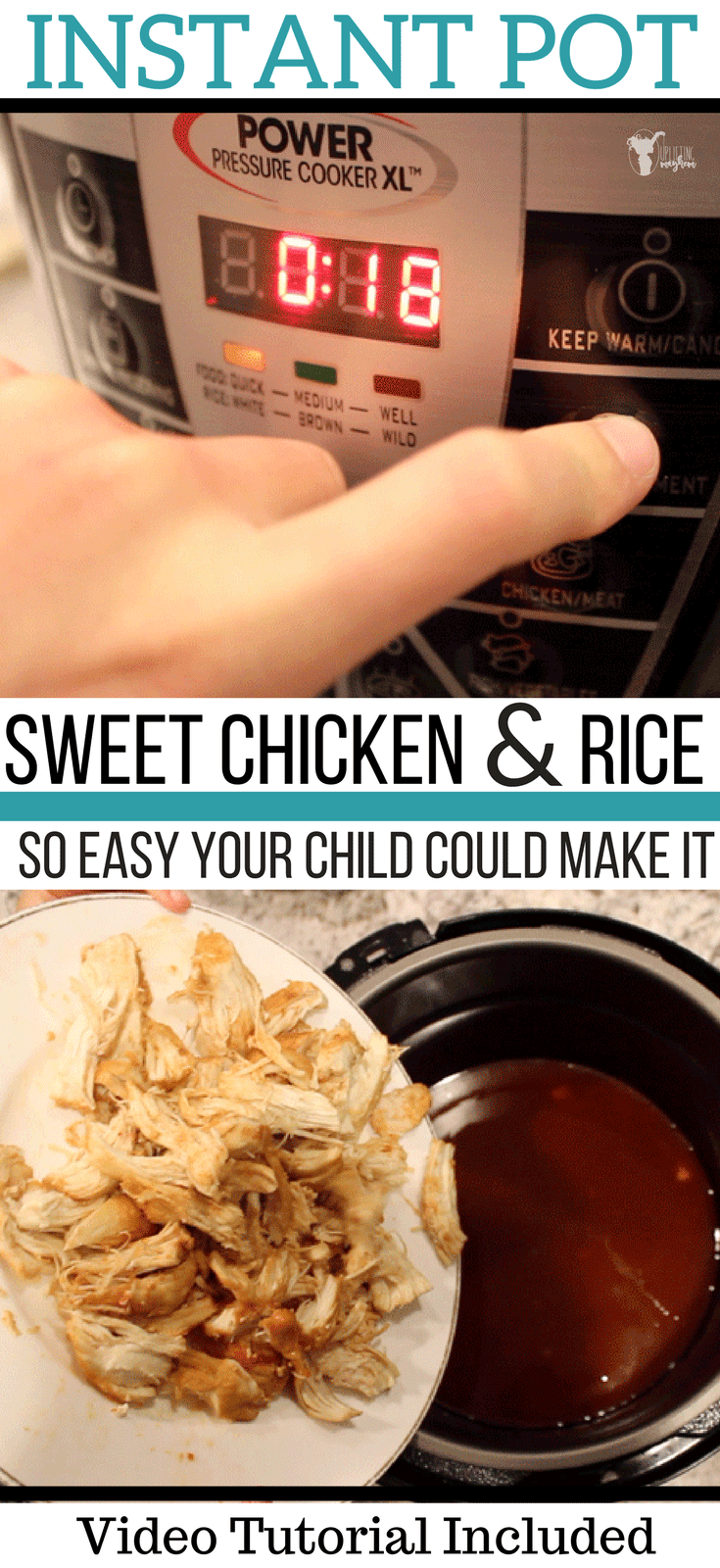 Instant Pot Sweet Chicken and Rice