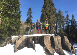 Sequoia National Park Ultimate Travel Guide: Everything you need to know about this amazing park. Routes, hikes, and lots of other tips to make your trip amazing!