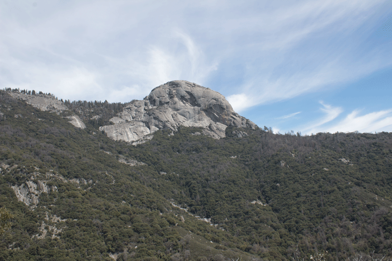 Sequoia National Park Ultimate Travel Guide: Everything you need to know about this amazing park. Routes, hikes, and lots of other tips to make your trip amazing! 