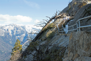 Sequoia National Park Ultimate Travel Guide: Everything you need to know about this amazing park. Routes, hikes, and lots of other tips to make your trip amazing!