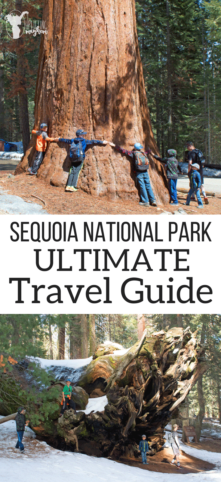 Sequoia National Park Ultimate Travel Guide: Everything you need to know about this amazing park. Routes, hikes, and lots of other tips to make your trip amazing!