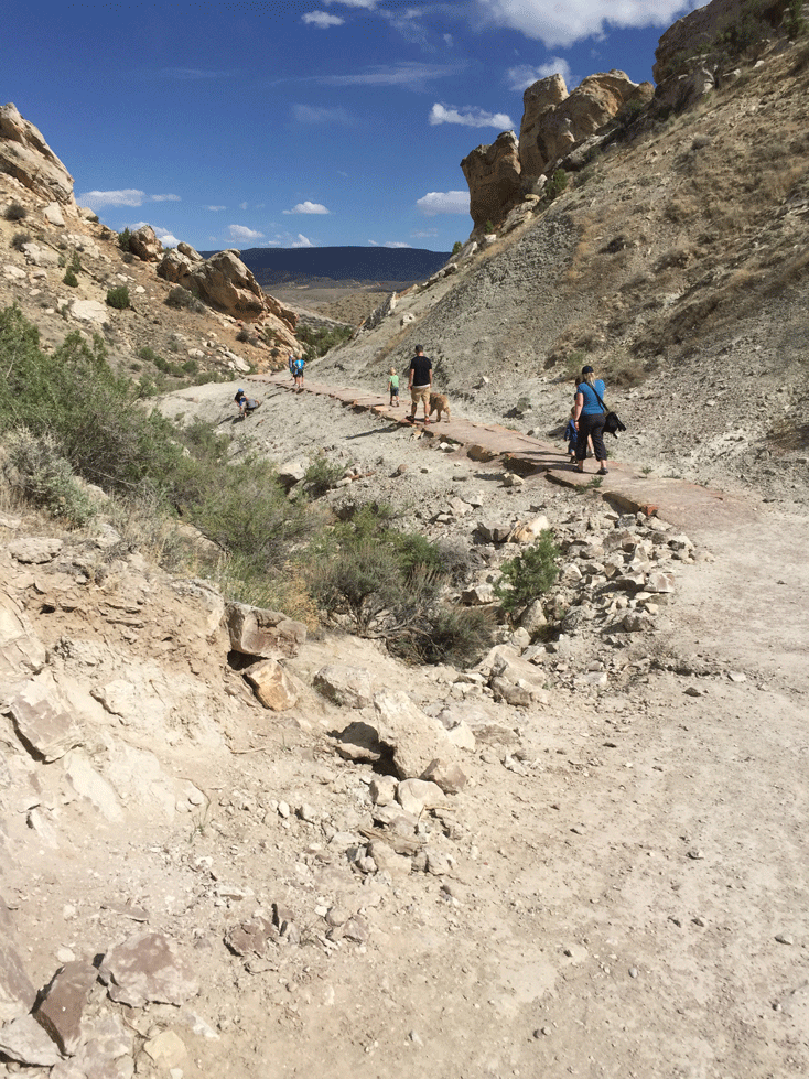 Fossil trail in Dinosaur National Park. You can spot marine life and dinosaur bones