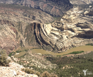 Beautiful view of the Green River in Dinosaur National Monument