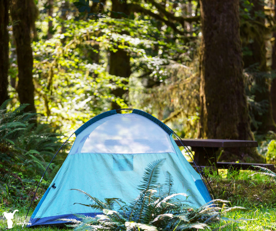 Camping can be a fantastic cheap family activity that will create family memories!!