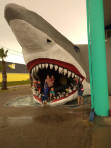 Find out all the great things to do in Corpus Christi! USS Lexington in Corpus Christ was my favorite! The beaches are beautiful and endless! A must see!