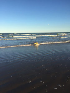 Tons of information for your next trip to South Padre Island in Texas! South Padre Island Rv Parks to the Island's activities and sites to see!!