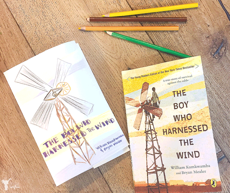 Boy who harnessed the wind
