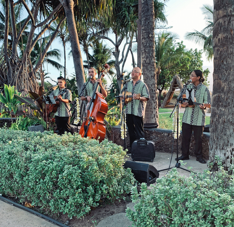 The live band at the Luau