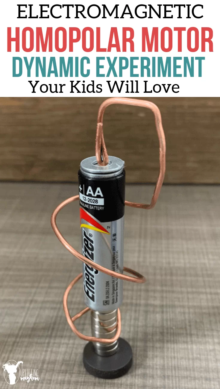 Build your own homopolar motor! A perfect experiment for kids to learn about electromagnetism! It is easy and has lots of room for creative thinking!!