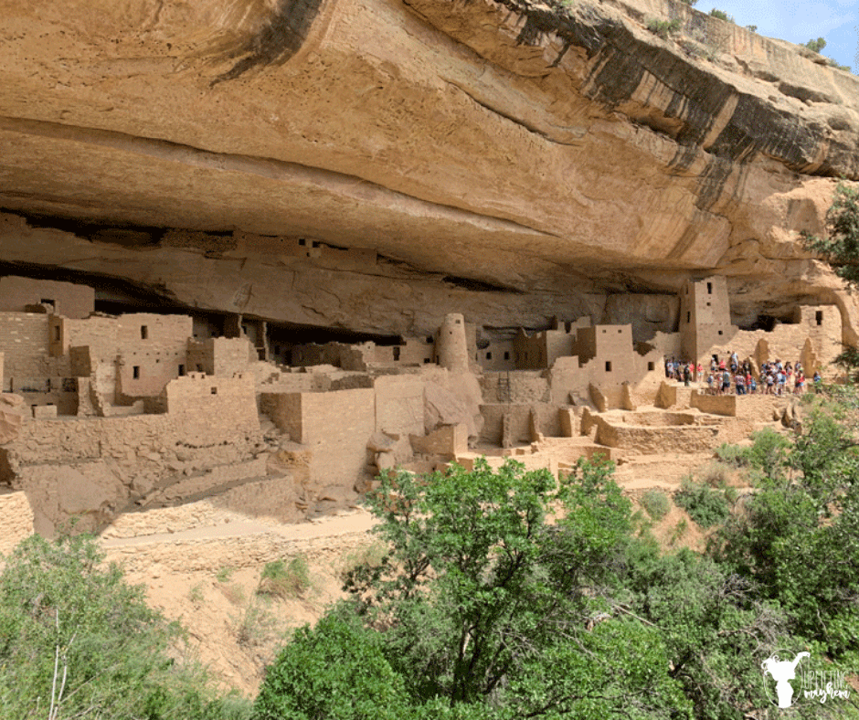 The Incredible Mesa Verde Cliff Dwellings! The must do and must see activities! How to get tickets and tips to make your trip easier!