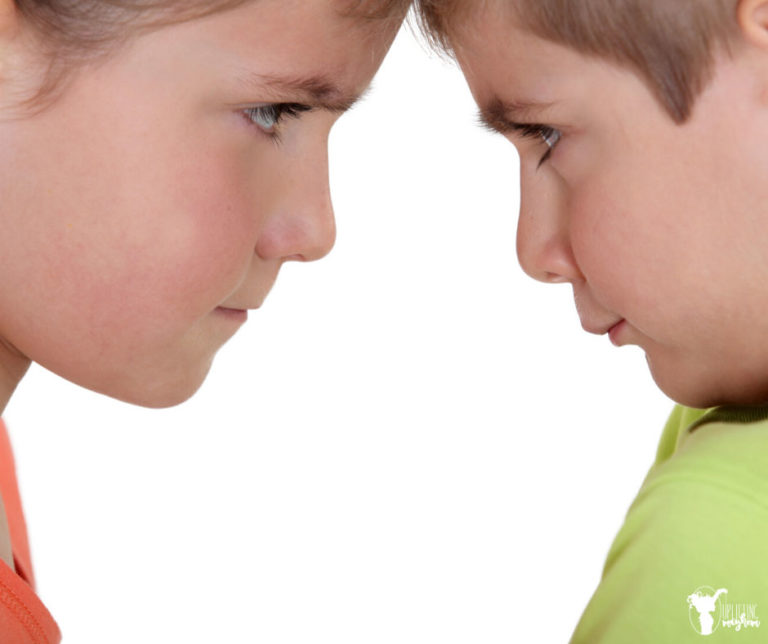 Bickering How to Handle It without Yelling or TimeOut Uplifting Mayhem