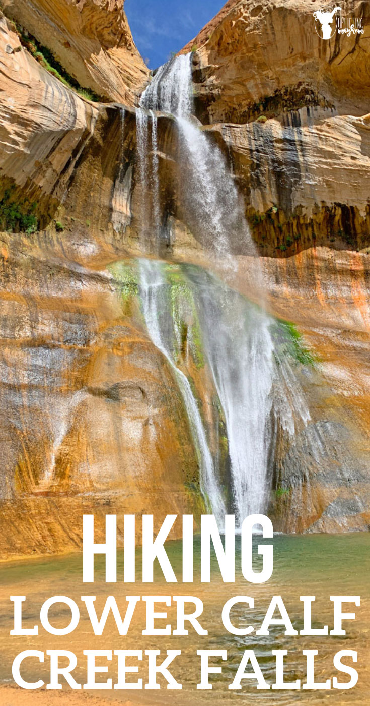 Hiking Lower Calf Creek Falls is a must if you are visiting The Grand Staircase-Escalante National Monument! Beautiful hike and waterfall at the end...