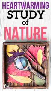 The study of nature is so important in a heart based education. There are so many lessons you can learn from nature! Help your kids fall in love with nature with this heartwarming study of nature!