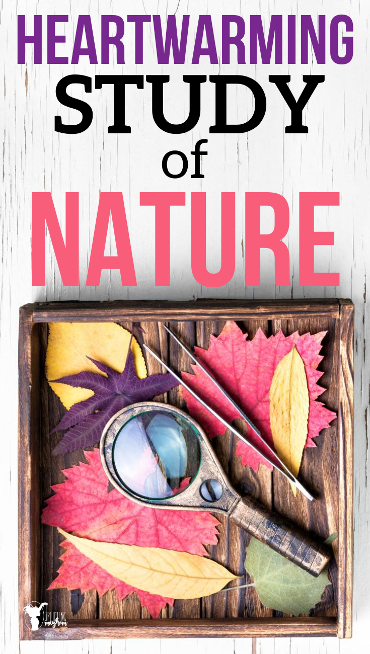 The study of nature is so important in a heart based education. There are so many lessons you can learn from nature! Help your kids fall in love with nature with this heartwarming study of nature! 