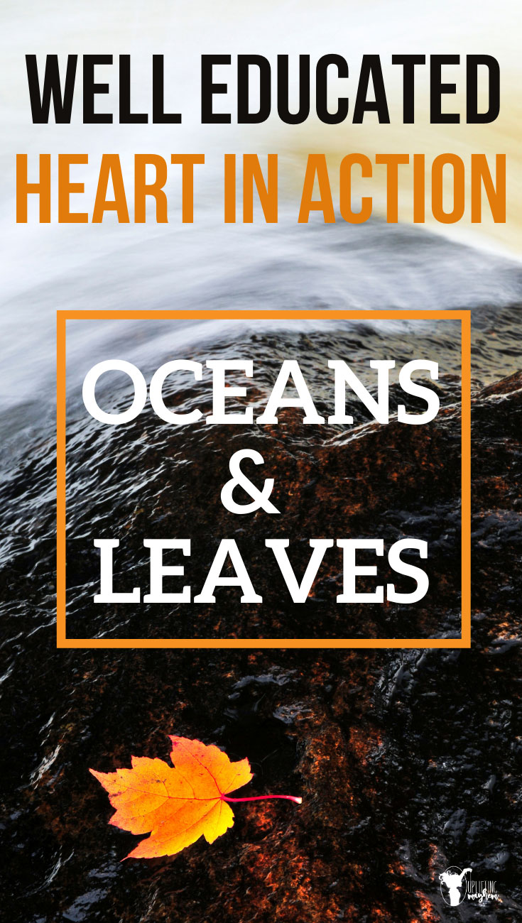 The Well Educated Heart philosophy in action. Learn and observe how you can apply the Well Educated Heart into your own home. Make your education your own and inspire your children to do the same! Study of the ocean and leaves to warm the hearts of young children. 